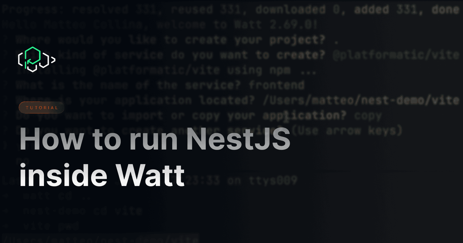 How to run NestJS inside Watt